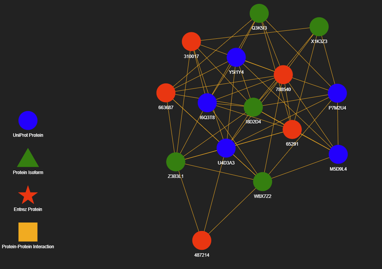 Protein interactions.png