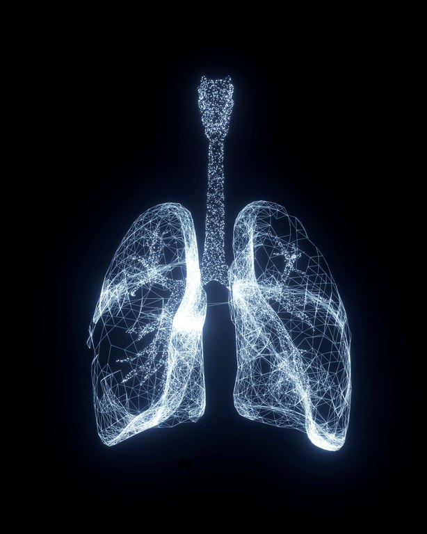 Lung2.jpg